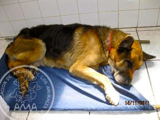 379948_2645197166844_1163070235_33031377_116552462_n